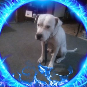 Meet your Posher, Valerie